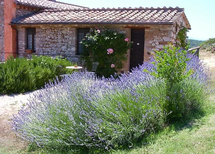 Casa vacanza: Podere Costa Romana